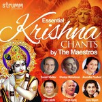 Essential Krishna Chants by the Maestros - Bickram Ghosh Song Download